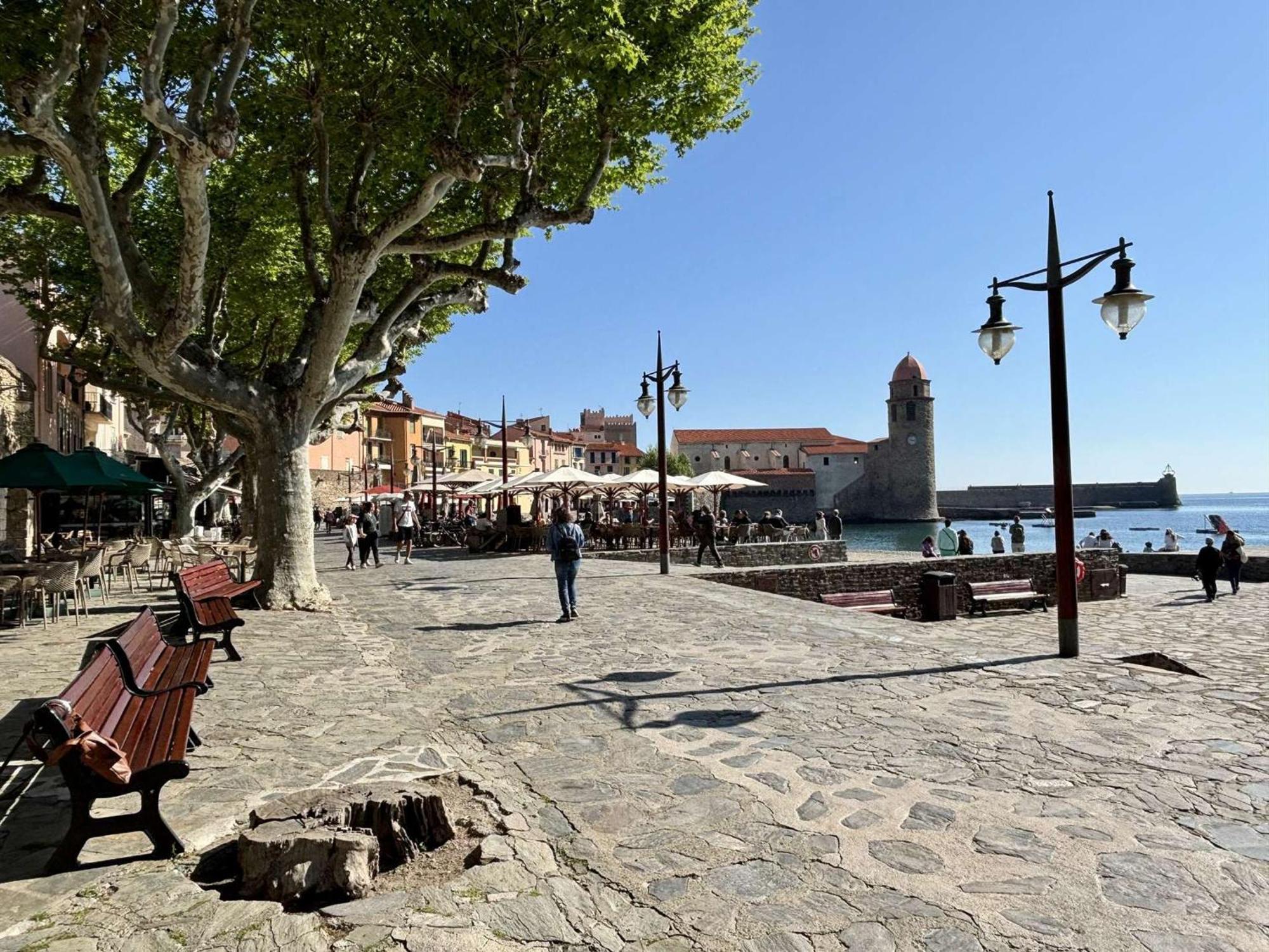 Studio Charmant En Centre Historique - 2 Couchages A Collioure - Fr-1-225-656 Exteriör bild
